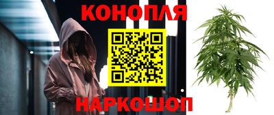 гидра Нарткала
