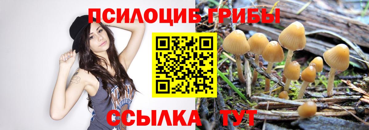 Псилоцибиновые грибы Psilocybine cubensis  Вход с VPN  Норильск  Галлюциногенные грибы Cubensis 